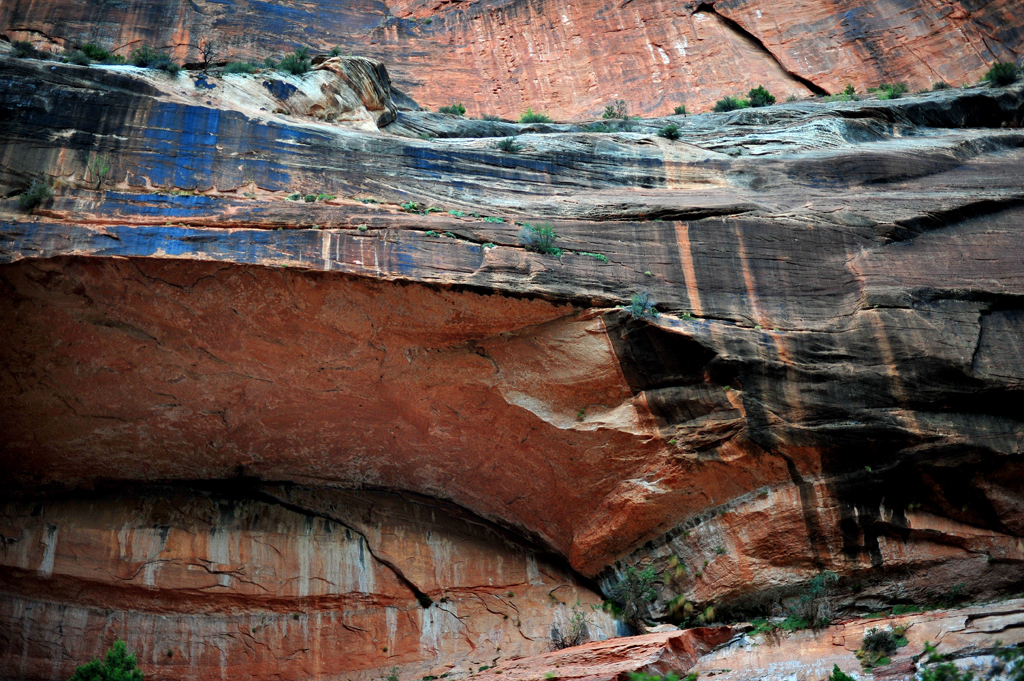 zion_lslphoto_2014_08